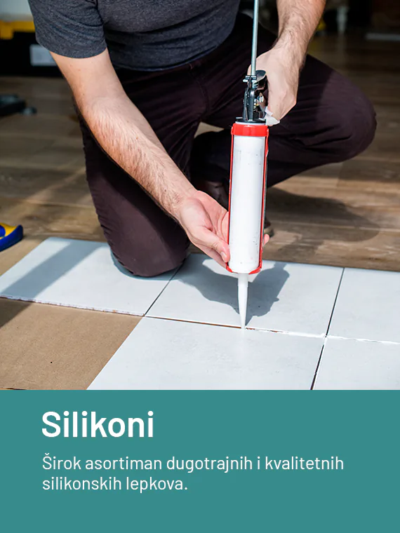 silikon_lepak