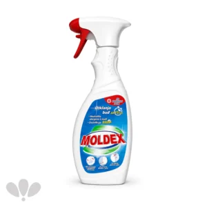 Moldex