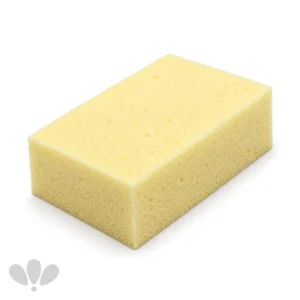 Sunđer